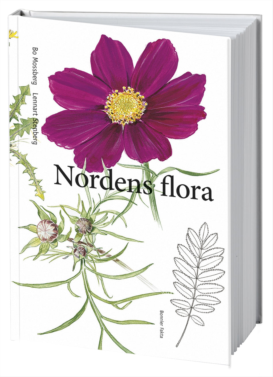 Valokuva kirjasta Bo Mossberg / Lennart Stenberg Nordens flora, kuuluu tuoteryhmään Ruots harrasteet taide.