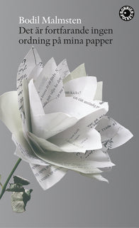 Det är fortfarande ingen ordning på mina papper