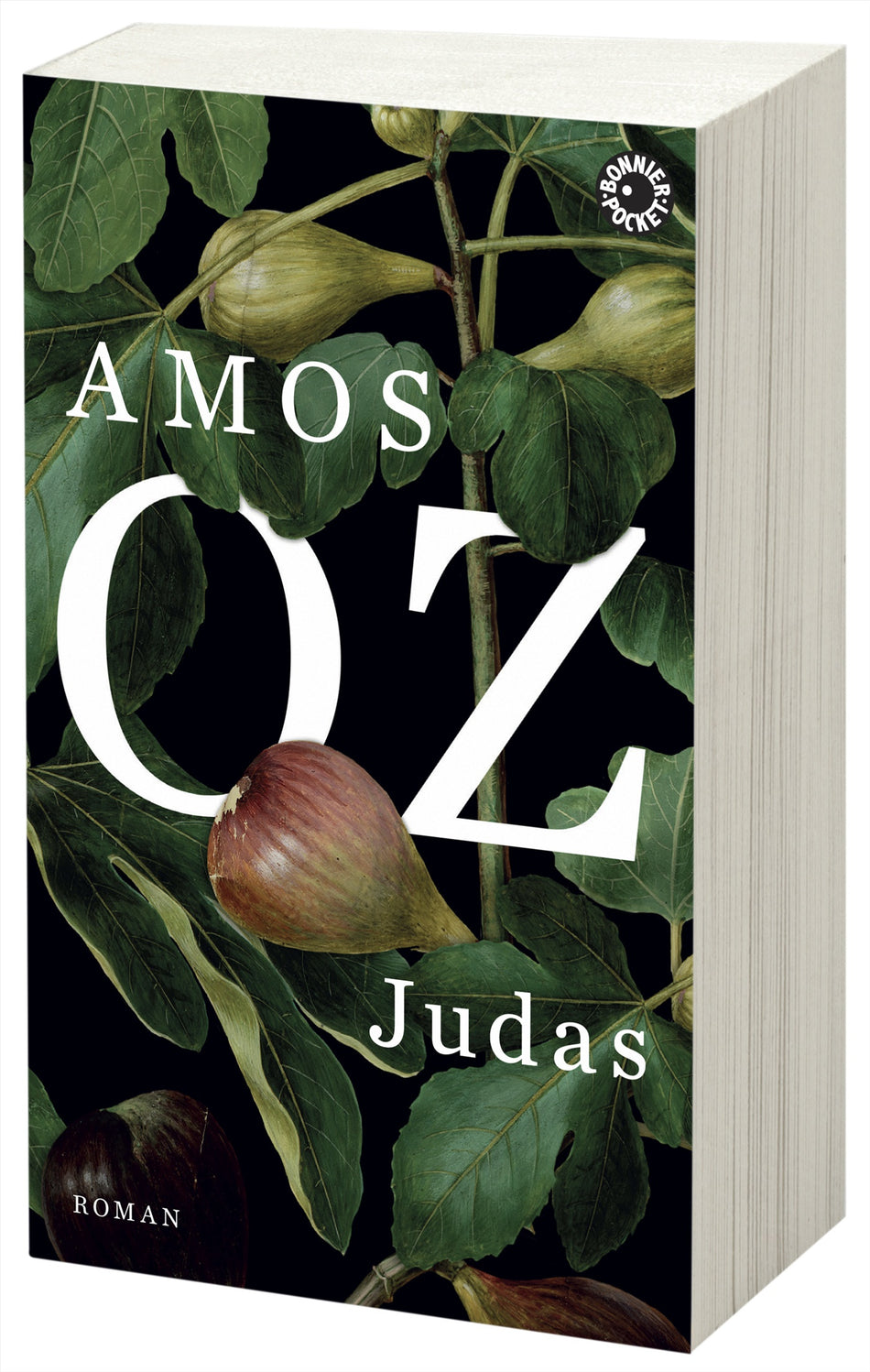 Valokuva kirjasta Amos Oz Judas, kuuluu tuoteryhmään Ruots kaunokirjat.