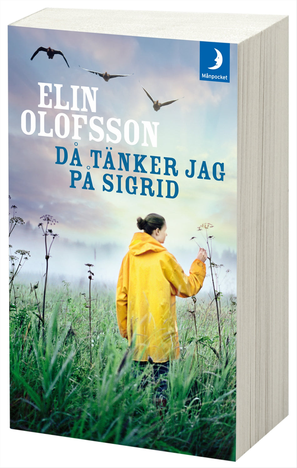 Valokuva kirjasta Elin Olofsson Då tänker jag på Sigrid, kuuluu tuoteryhmään Ruots kaunokirjat.