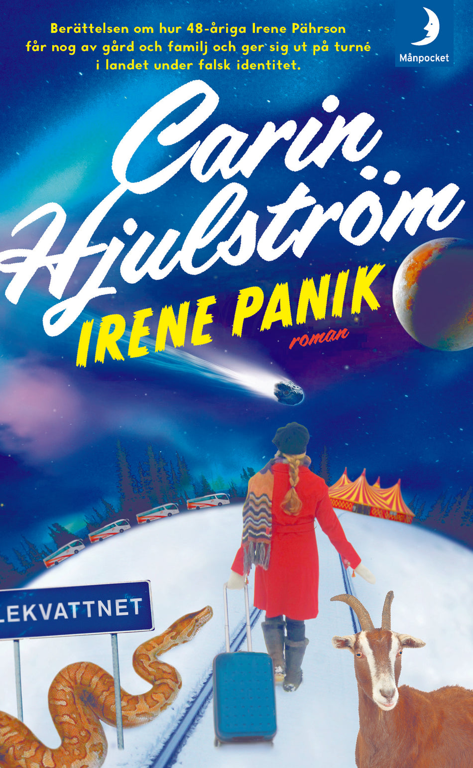 Valokuva kirjasta Carin Hjulström Irene Panik, kuuluu tuoteryhmään Ruots kaunokirjat.