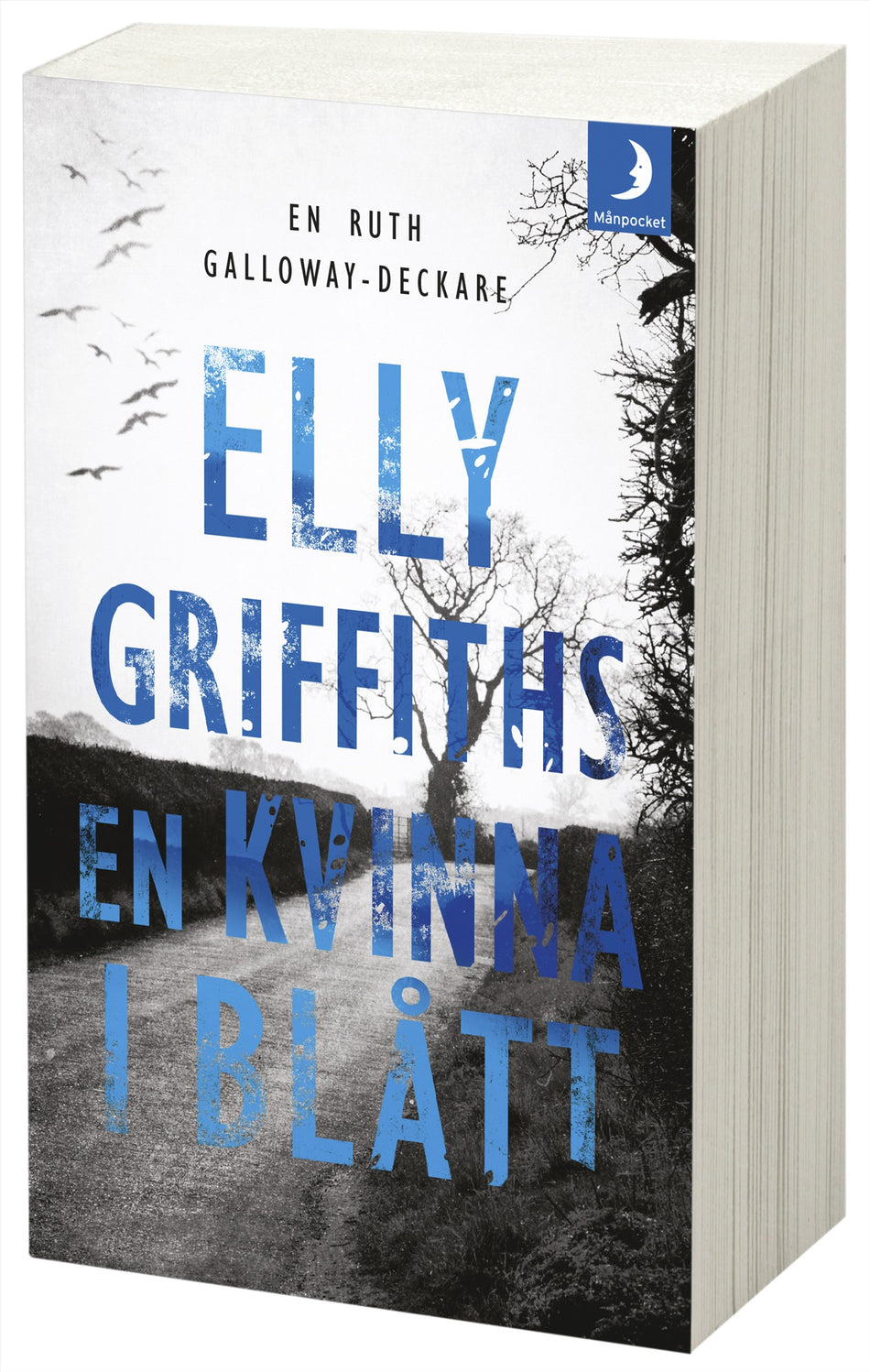 Valokuva kirjasta Elly Griffiths En kvinna i blått, kuuluu tuoteryhmään Ruots kaunokirjat.