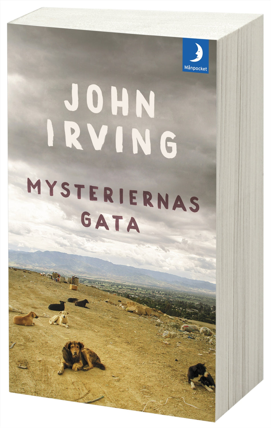 Valokuva kirjasta John Irving Mysteriernas gata, kuuluu tuoteryhmään Ruots kaunokirjat.