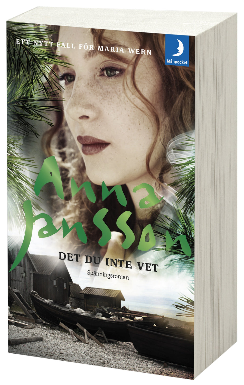 Valokuva kirjasta Anna Jansson Det du inte vet, kuuluu tuoteryhmään Ruots kaunokirjat.