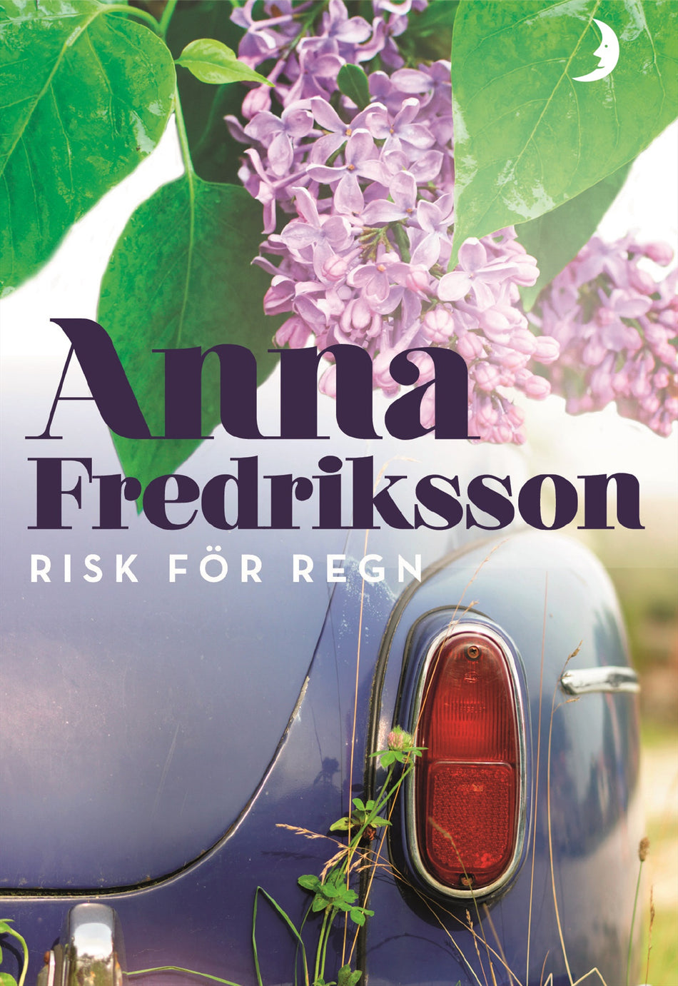 Valokuva kirjasta Anna Fredriksson Risk för regn, kuuluu tuoteryhmään Ruots kaunokirjat.
