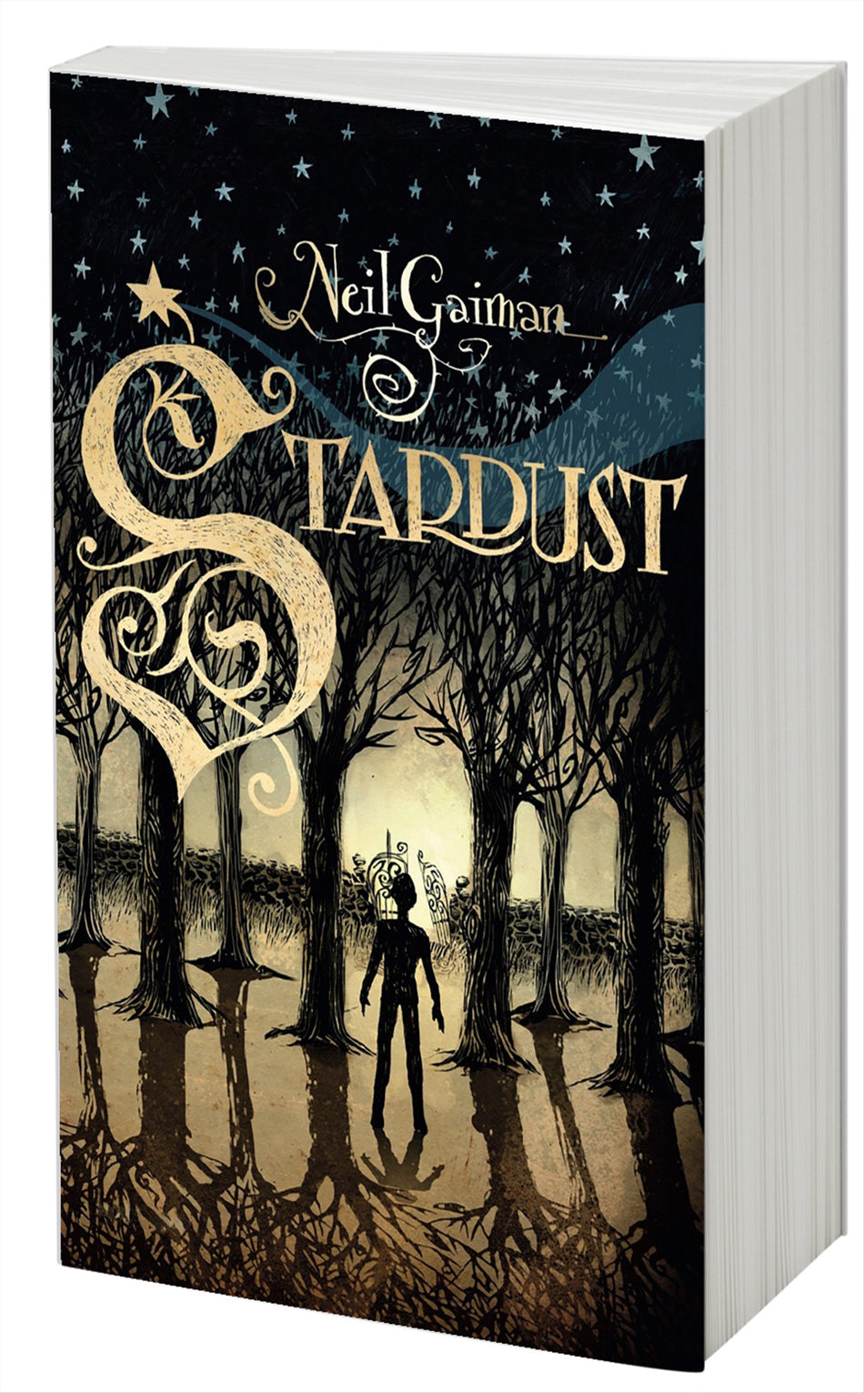 Valokuva kirjasta Neil Gaiman Stardust, kuuluu tuoteryhmään Ruots lapset nuoret ja sarjakuvat.