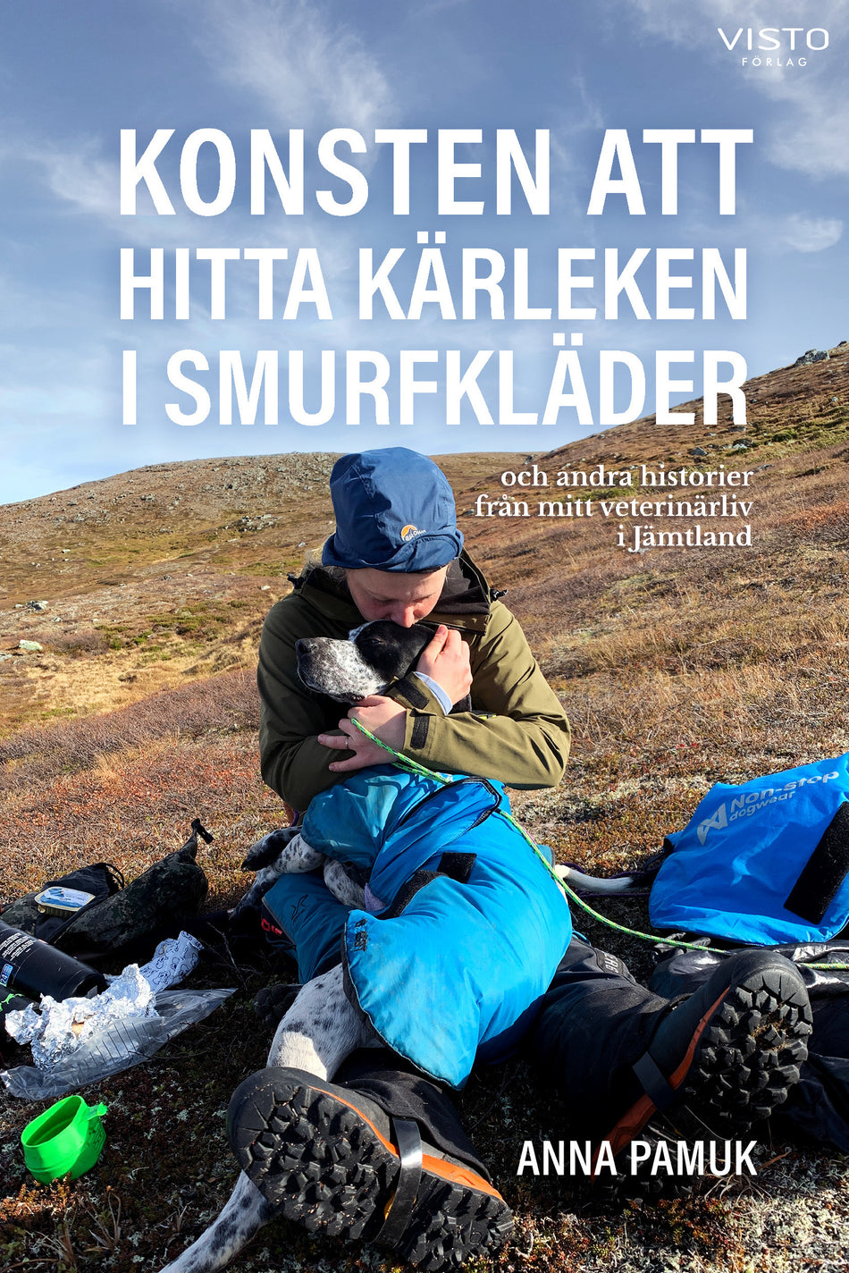 Valokuva kirjasta Anna Pamuk Konsten att hitta kärleken i smurfkläder, kuuluu tuoteryhmään Ruots muu tieto.