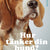 Tuotteen Hur tänker din hund? pikkukuva 3