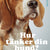 Tuotteen Hur tänker din hund? pikkukuva 4