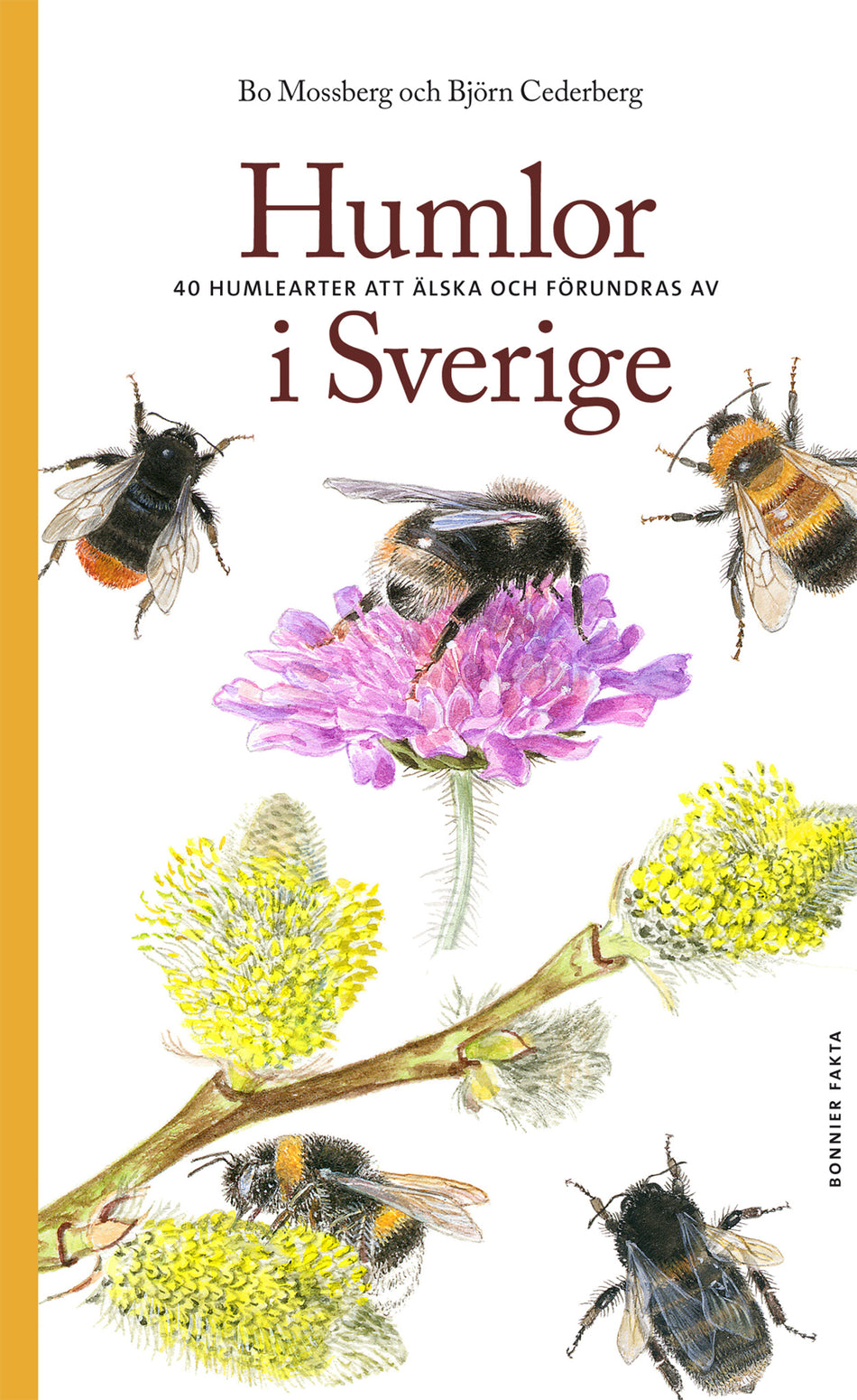Valokuva kirjasta Bo Mossberg / Björn Cederberg Humlor i Sverige : 40 arter att älska och förundras över, kuuluu tuoteryhmään Ruots harrasteet taide.
