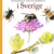 Tuotteen Humlor i Sverige : 40 arter att älska och förundras över pikkukuva 3