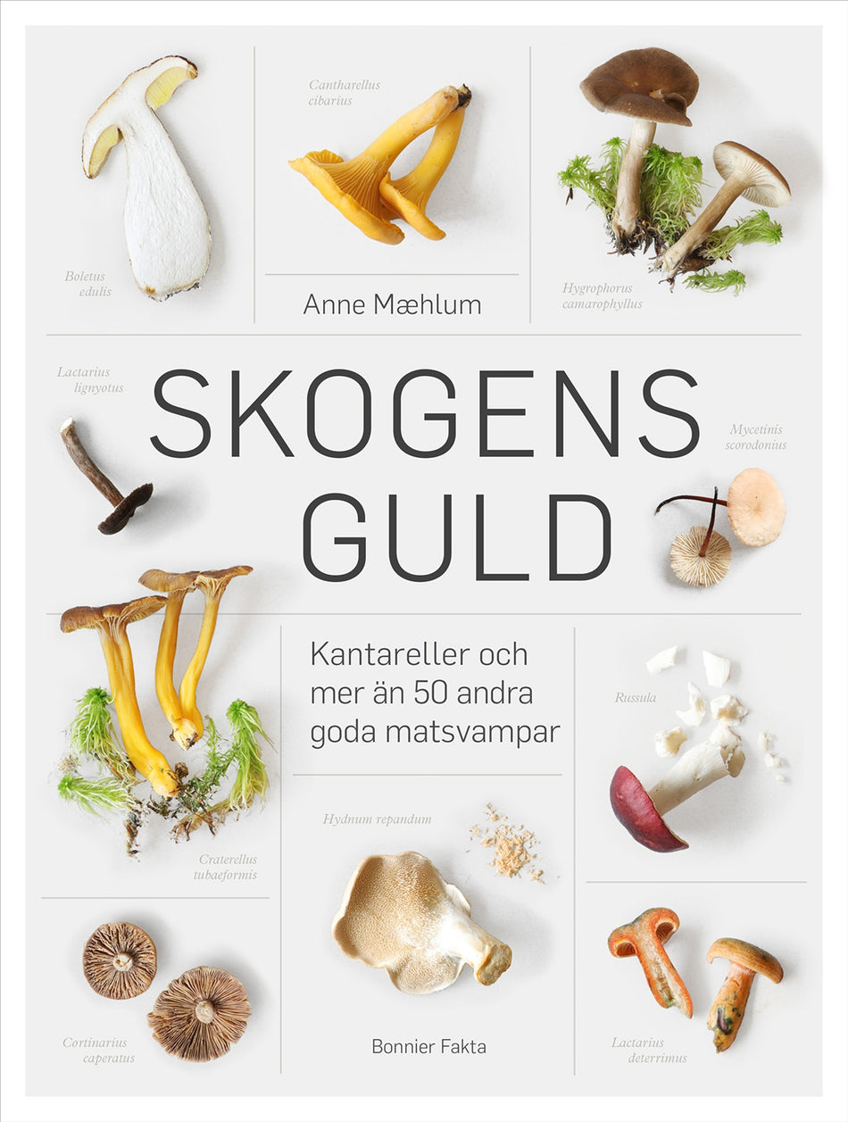 Valokuva kirjasta Anne Maehlum Skogens guld, kuuluu tuoteryhmään Ruots harrasteet taide.