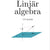 Tuotteen Linjär algebra pikkukuva 2