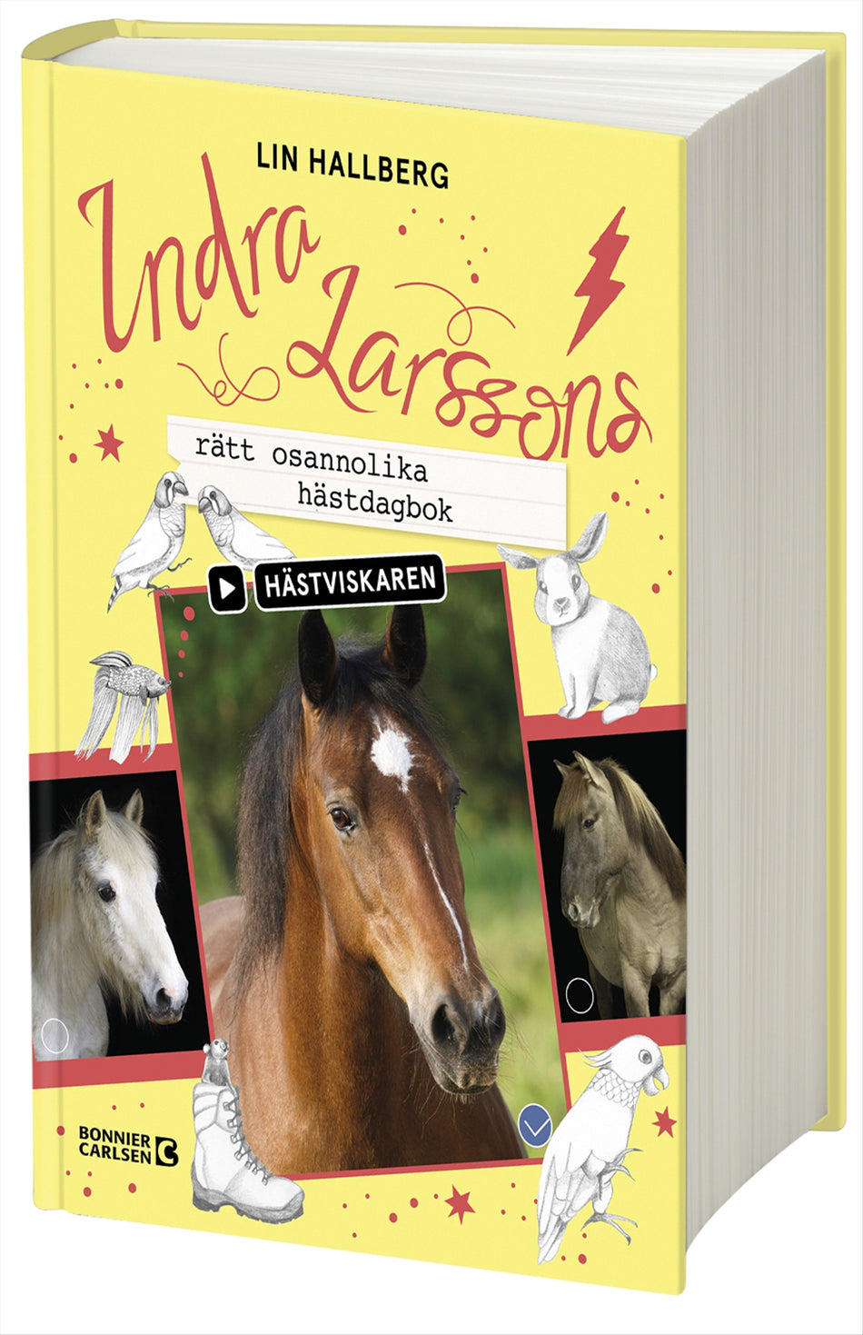 Valokuva kirjasta Lin Hallberg Indra Larssons rätt osannolika hästdagbok, kuuluu tuoteryhmään Ruots lapset nuoret ja sarjakuvat.