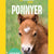 Tuotteen Ponnyer pikkukuva 2