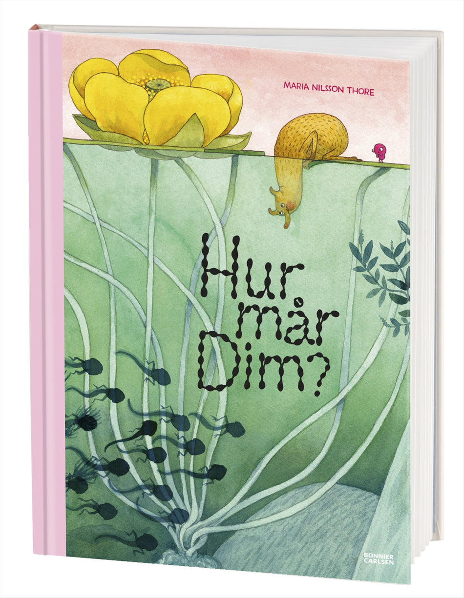 Valokuva kirjasta Maria Nilsson Thore Hur mår Dim?, kuuluu tuoteryhmään Ruots lapset nuoret ja sarjakuvat.