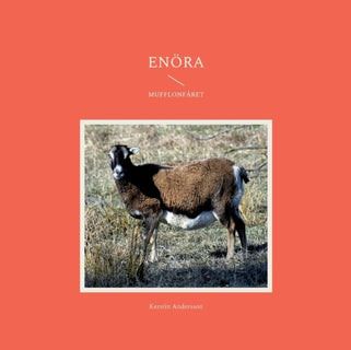 Enöra : I fårhagen