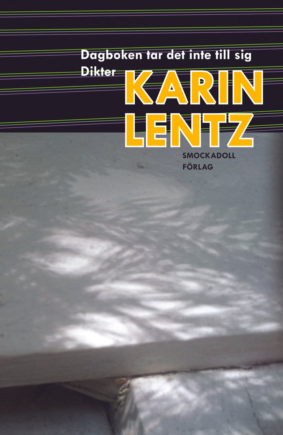 Valokuva kirjasta Karin Lentz Dagboken tar det inte till sig, kuuluu tuoteryhmään Ruots muu tieto.