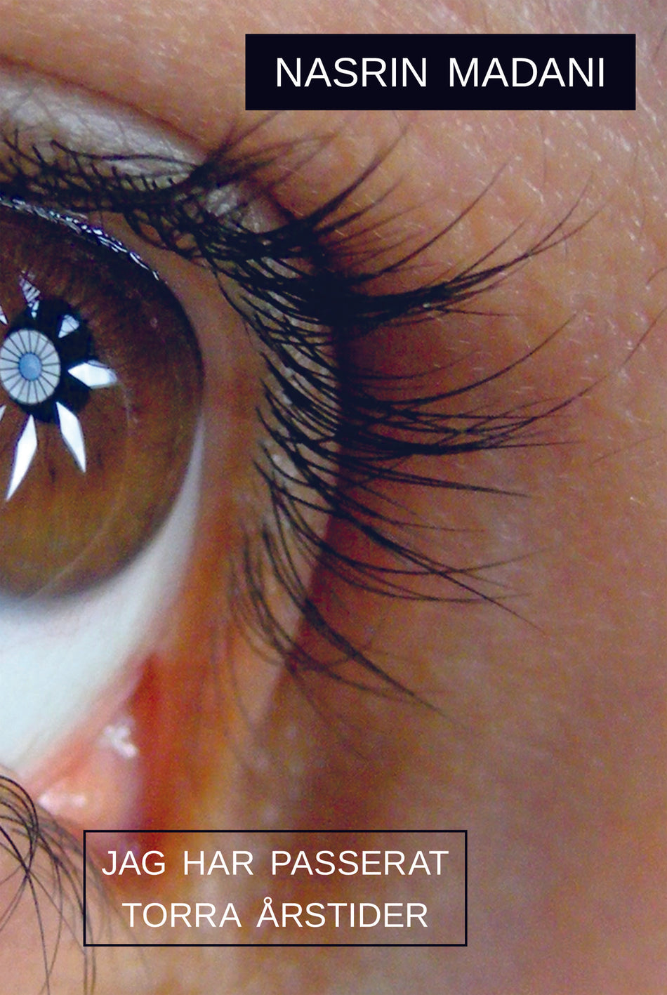 Valokuva kirjasta Nasrin Madani Jag har passerat torra årstider, kuuluu tuoteryhmään Ruots kaunokirjat.