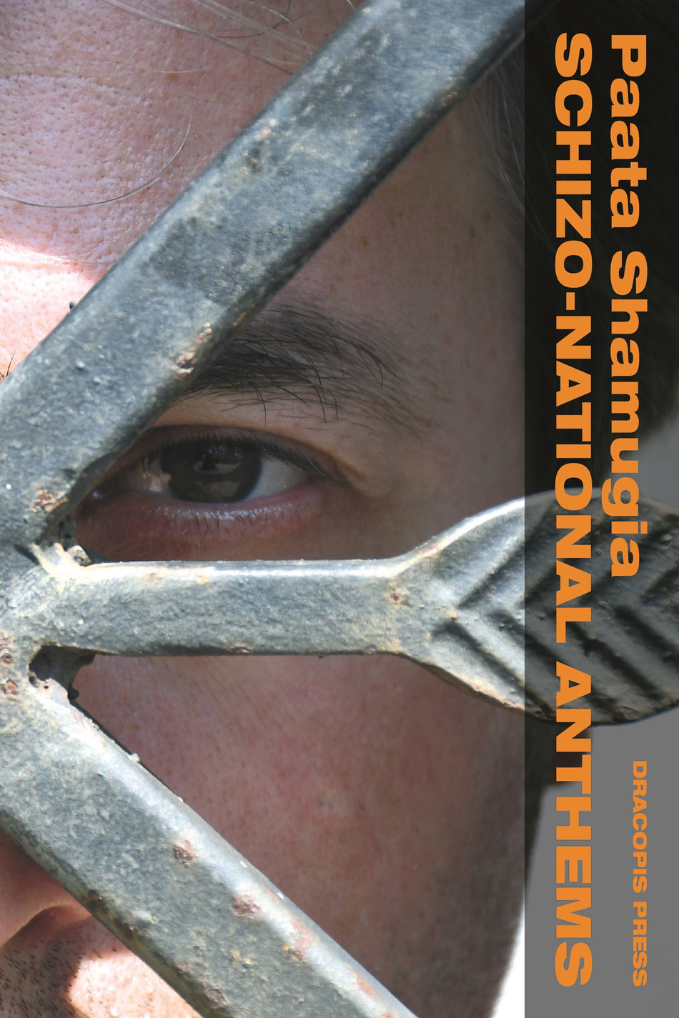 Valokuva kirjasta Paata Shamugia Schizo-National Anthems, kuuluu tuoteryhmään Ruots muu tieto.