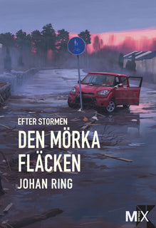 Efter stormen. Den mörka fläcken