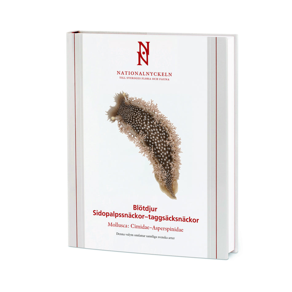 Valokuva kirjasta Kennet Lundin / Klas Malmberg / Fredrik Pleijel Blötdjur: Sidopalpssnäckor – taggsäcksnäckor. Mollusca: Cimidae–Asperspinidae, kuuluu tuoteryhmään Ruots muu tieto.