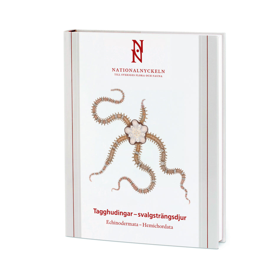 Valokuva kirjasta Hans G. Hansson / Tomas Cedhagen / Malin Strand Tagghudingar - svalgsträngsdjur. Echinodermata - hemichordata, kuuluu tuoteryhmään Ruots muu tieto.