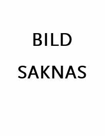 Retorikboken : en grundläggande arbetsmodell i 12 steg för åk 3-9