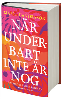 När underbart inte är nog : en medelåldersroman