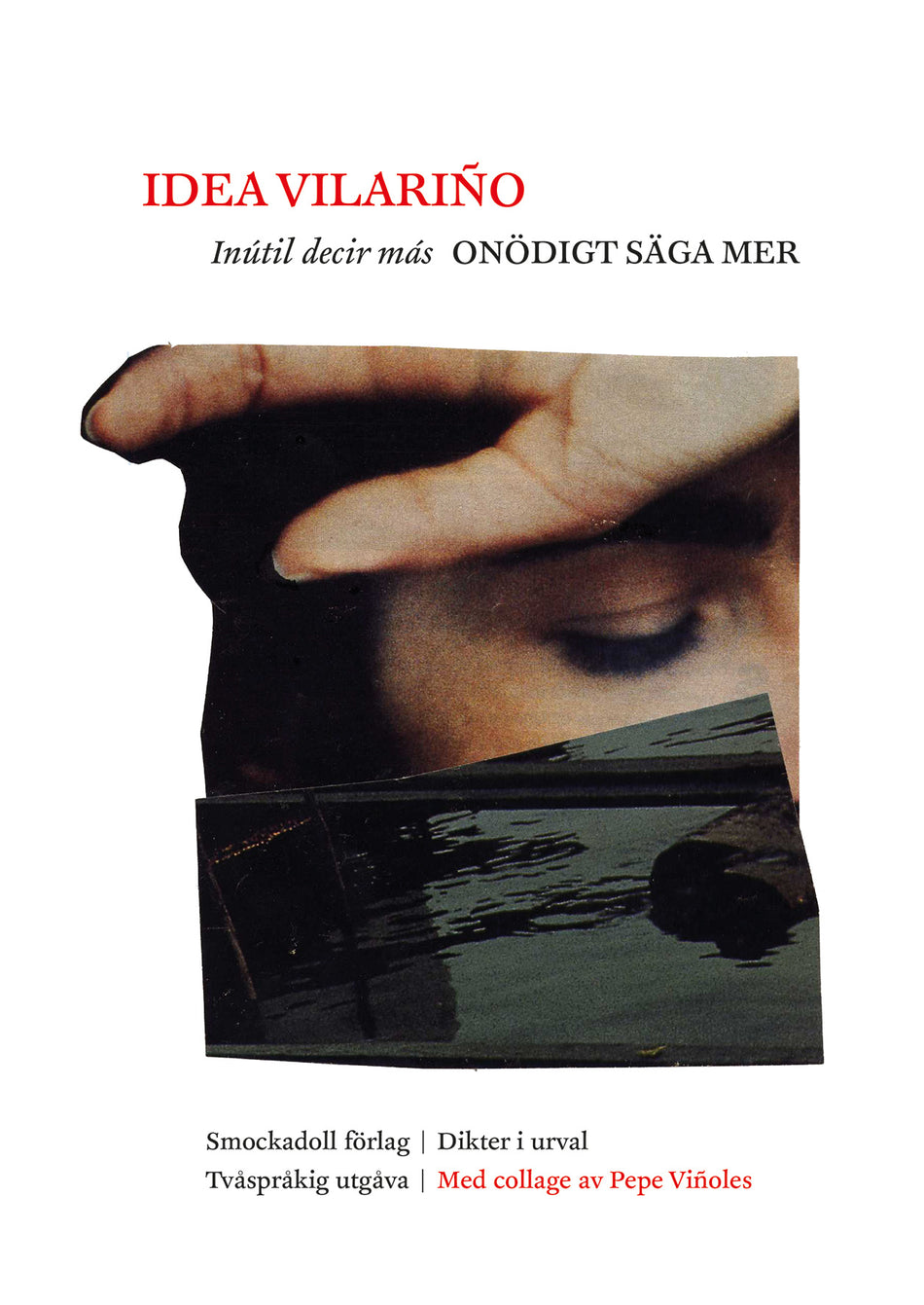 Valokuva kirjasta Idea Vilariño Onödigt säga mer / Inútil decir más, kuuluu tuoteryhmään Ruots muu tieto.