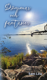 Drömmar och fantasier