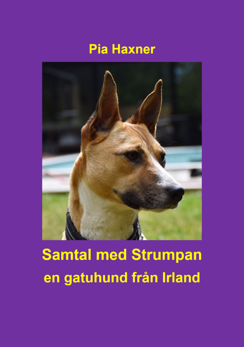 Valokuva kirjasta Pia Haxner Samtal med Strumpan : en gatuhund från Irland, kuuluu tuoteryhmään Ruots harrasteet taide.