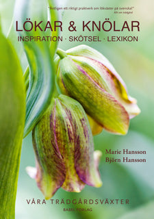 Lökar & knölar : inspiration, skötsel, lexikon