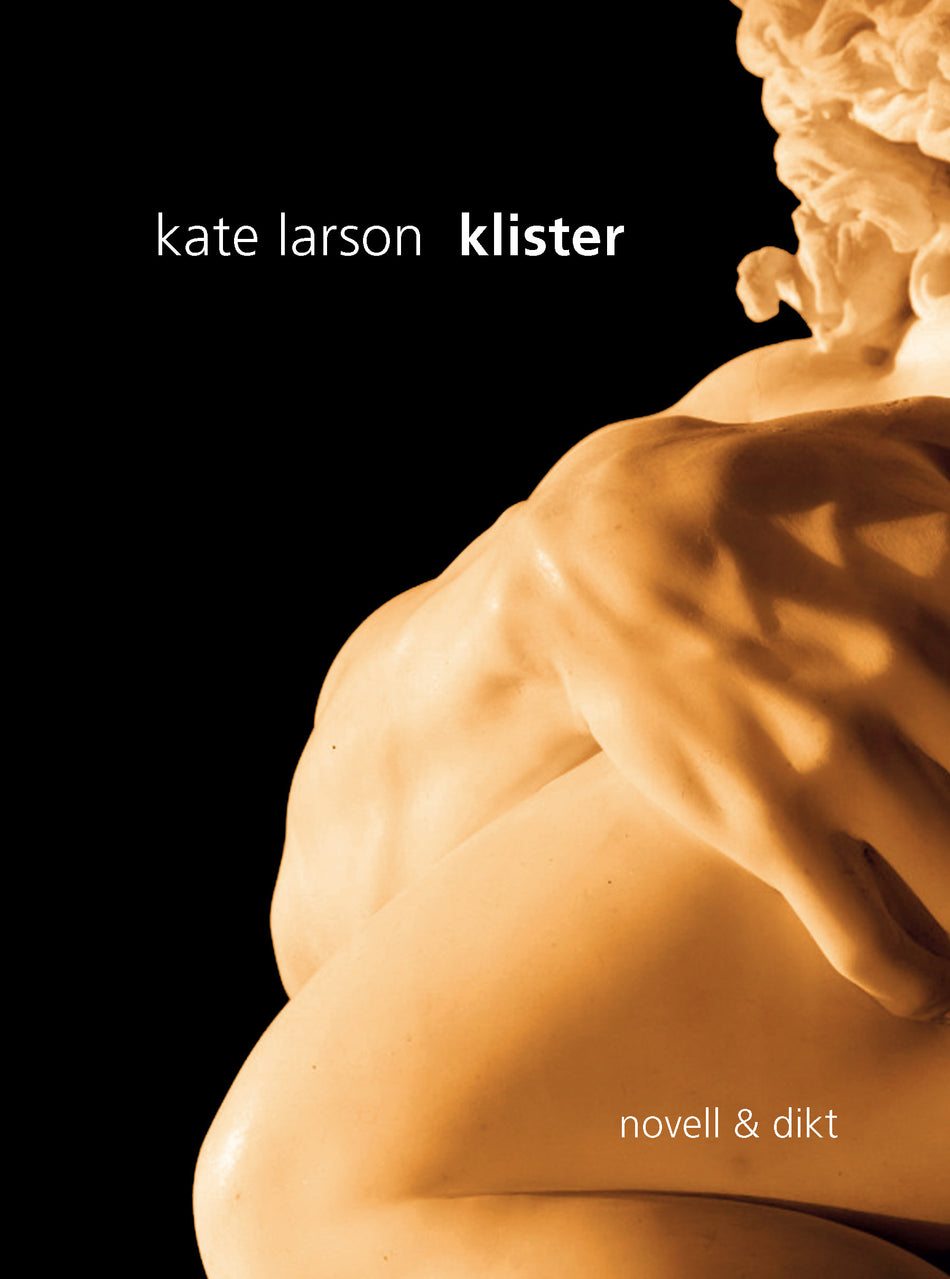 Valokuva kirjasta Kate Larson Klister, kuuluu tuoteryhmään Ruots kaunokirjat.
