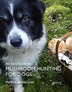 easy guide to mushroom hunting for dogs, An