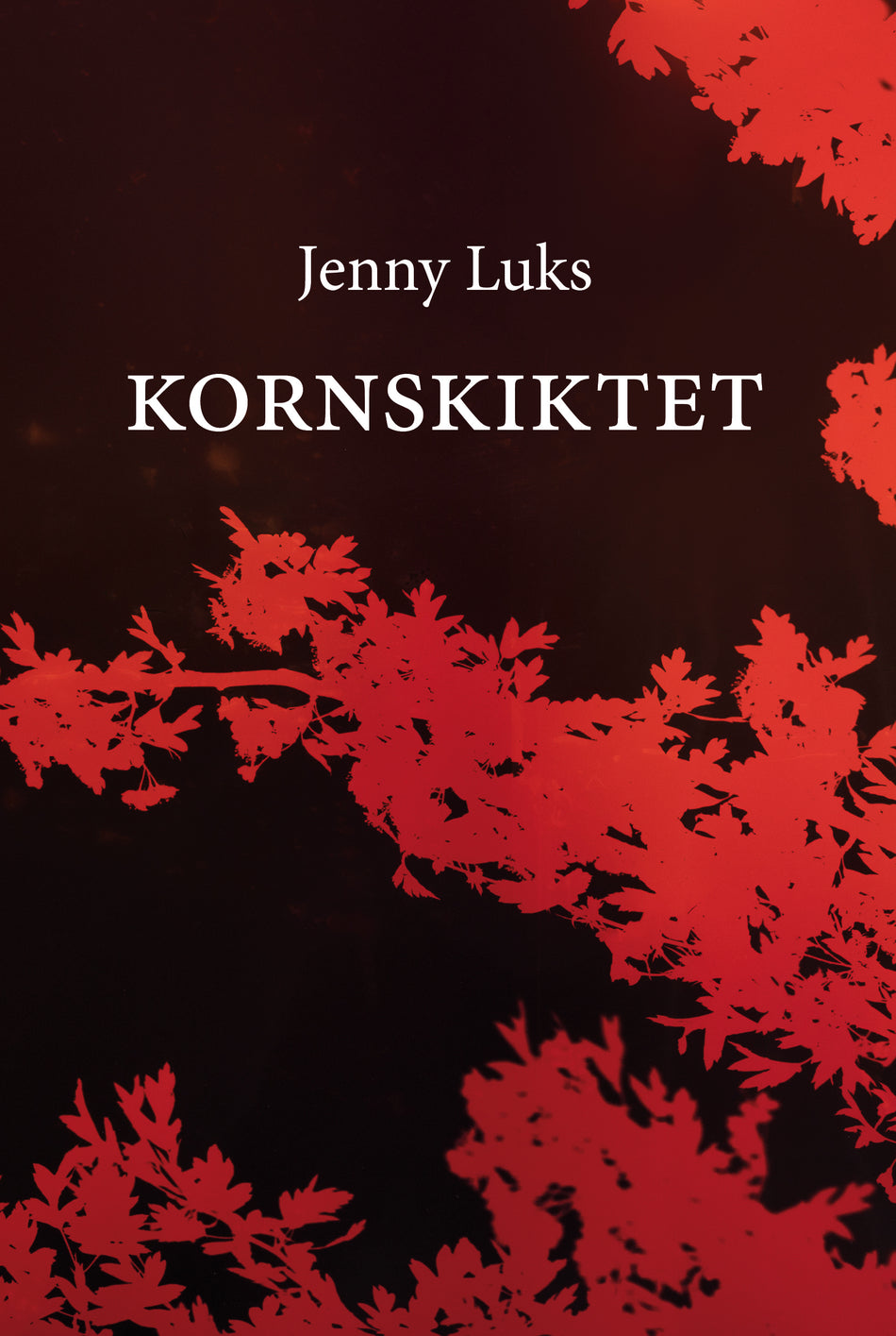 Valokuva kirjasta Jenny Luks Kornskiktet, kuuluu tuoteryhmään Ruots muu tieto.