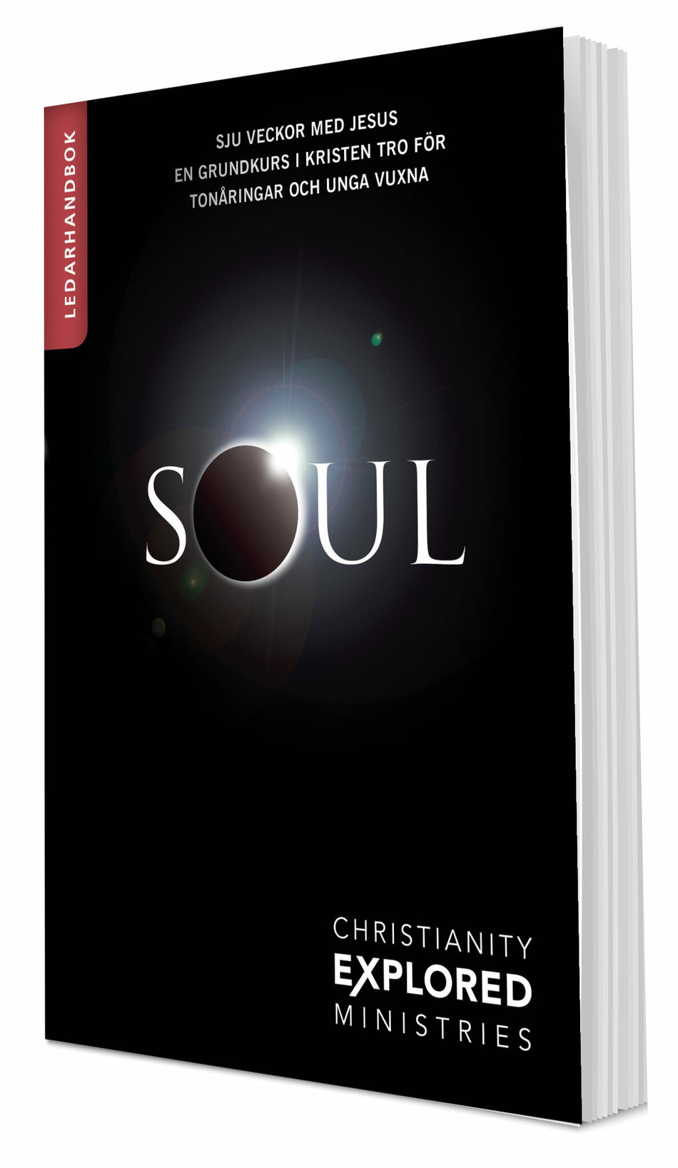 Valokuva kirjasta Nate Morgan Locke Soul. Ledarhandbok, kuuluu tuoteryhmään Ruots muu tieto.