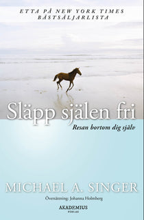 Släpp själen fri : resan bortom dig själv