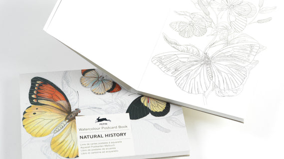 Väritettävä postikorttisetti Pepinpress Natural History
