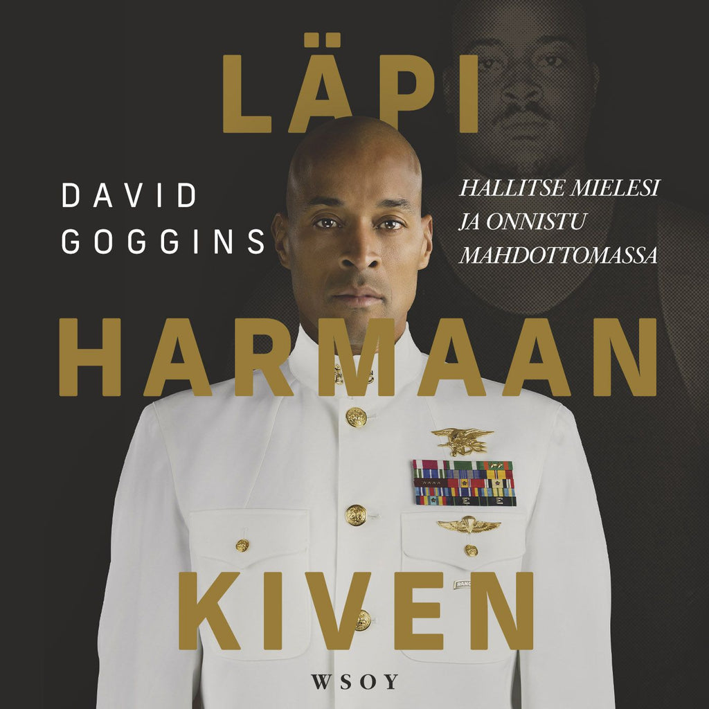 Kiven Rispone Isc Läpi harmaan kiven - Hallitse mielesi ja onnistu mahdottomassa - David ...