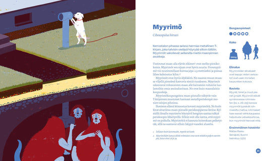 Suomen ämminkäiset värikuvina