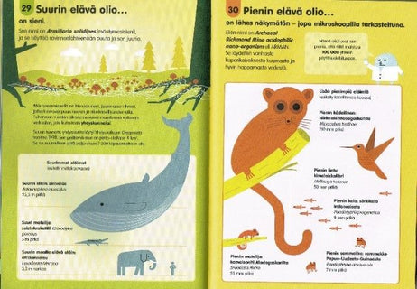 100 asiaa jotka haluat tietää