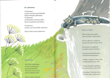 Taivasta hipoo hännänpää