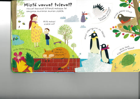 Mistä vauvat tulevat?