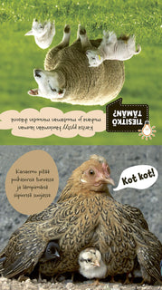 Isommin iloa - Maatilan eläimet