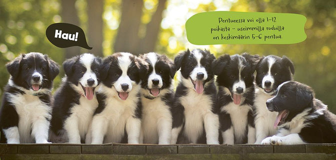 Isommin iloa - Lemmikkiystävät