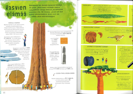 Kuinka suuri on suuri?