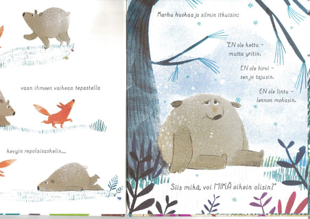 Karhu on karhu (tai ehkä joku muu...)