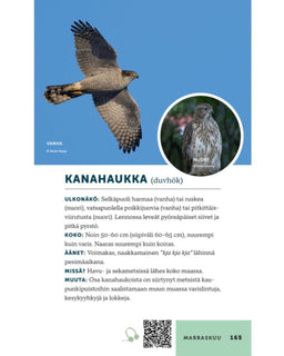 Tunnista 100 lintulajia