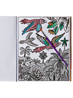 Maalaa vedellä VIIDAKKO -puuhakirja 6-99 v